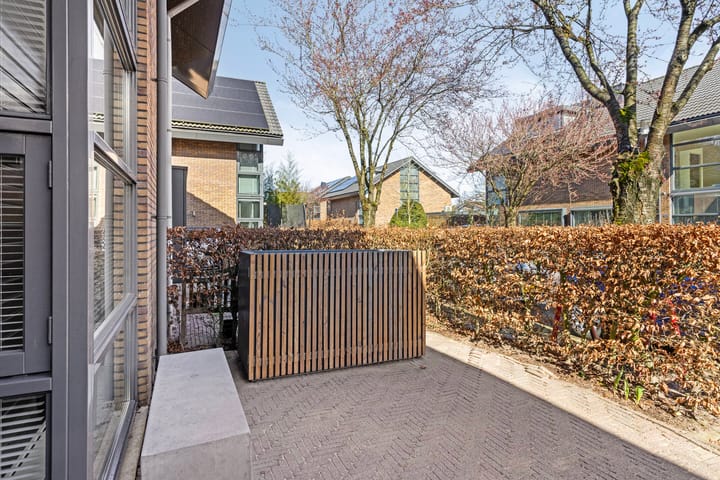 Foto 44 van IJsvogel 11