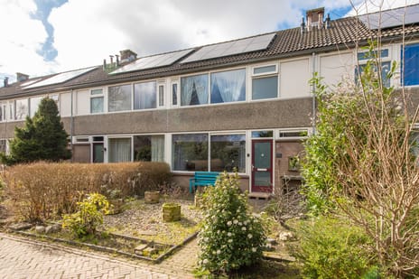 undefined main image