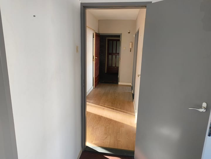 Foto 5 van Europalaan 309