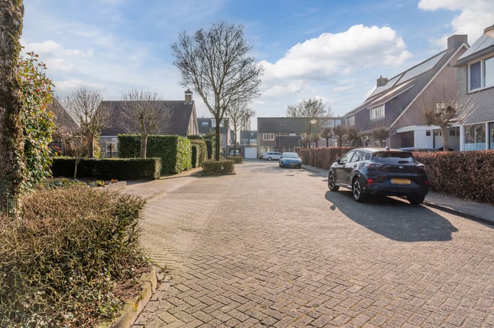 Foto 29 van Molikstraat 44