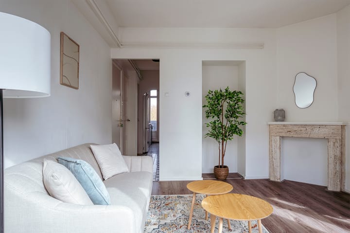 Foto 5 van Linnaeusstraat 105-1