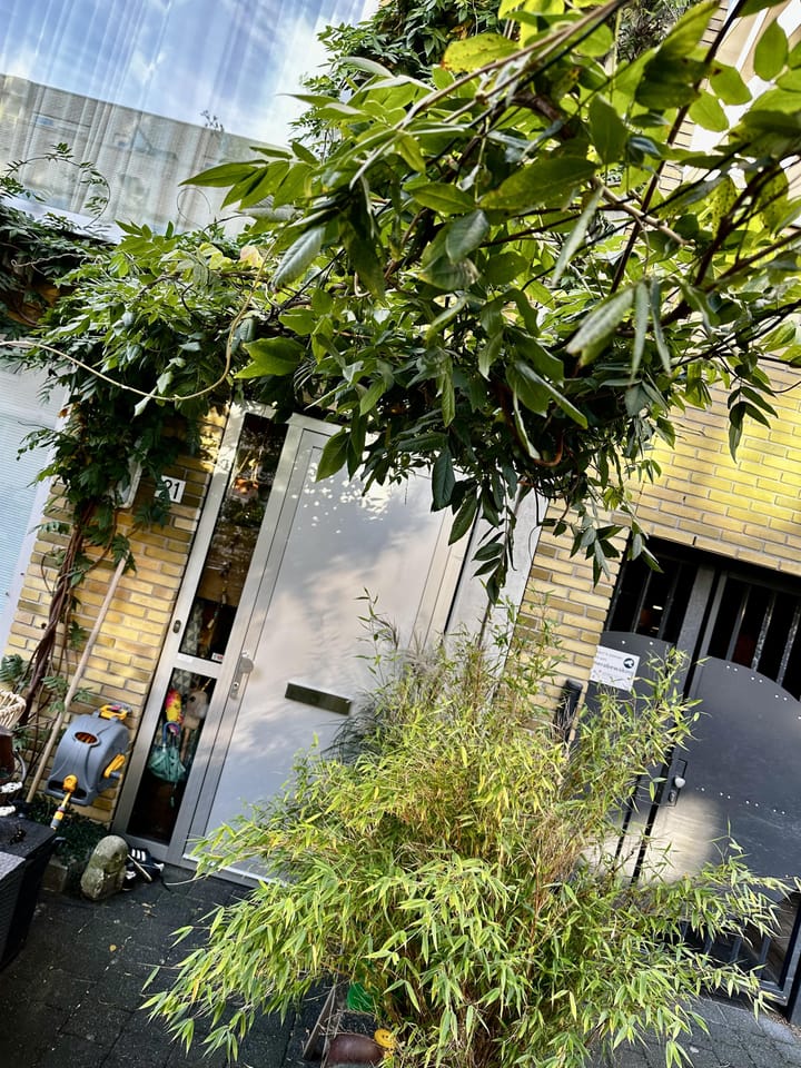 Foto 23 van Ben Brilstraat 21