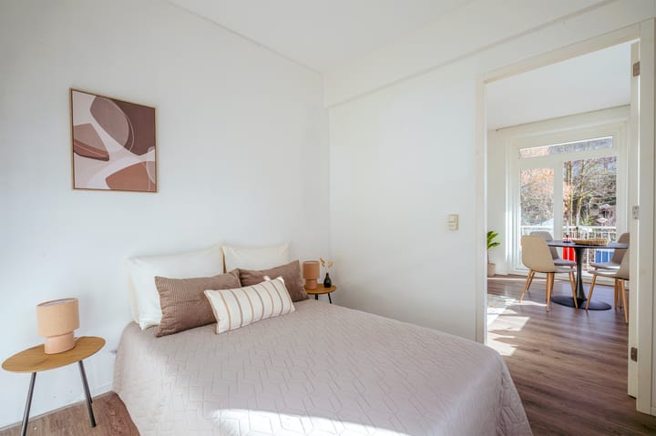 Foto 11 van Linnaeusstraat 105-1