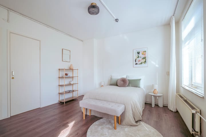 Foto 18 van Linnaeusstraat 105-1