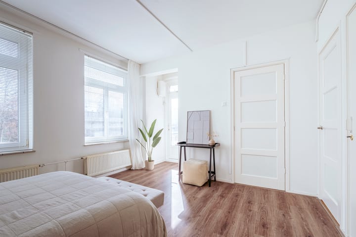 Foto 19 van Linnaeusstraat 105-1