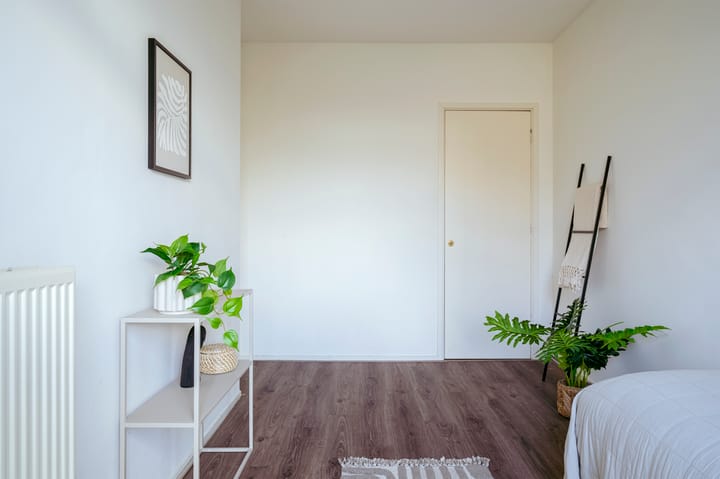 Foto 22 van Linnaeusstraat 105-1