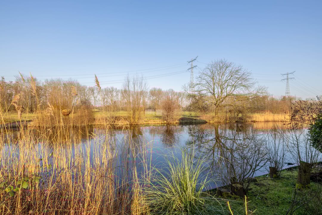 Foto 41 van Rosanderwaard 47