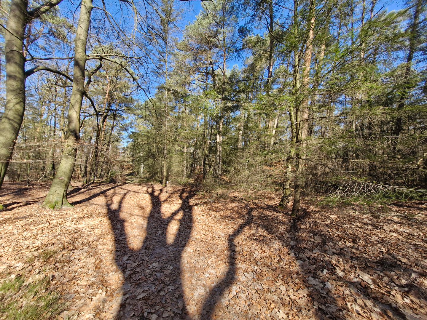 Schalterbergweg - Beekbergen - Afbeelding 7