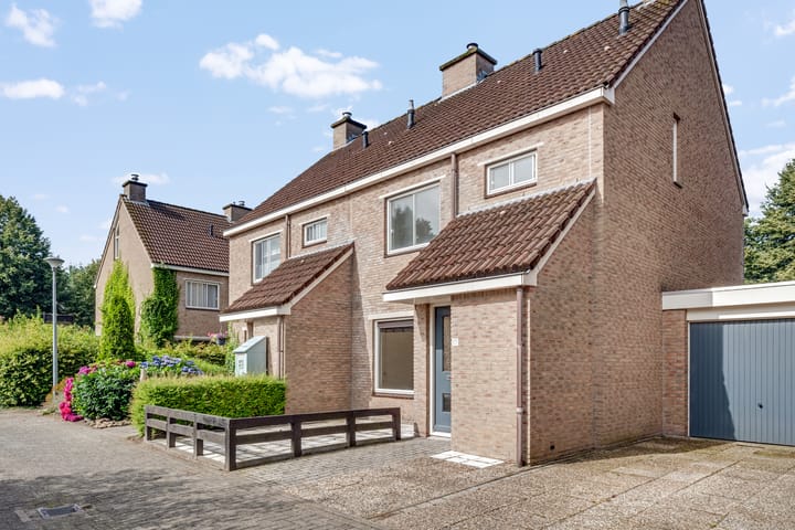 Foto 1 van Bonte Kraai 17