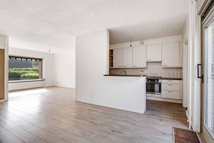 Foto 6 van Bonte Kraai 17