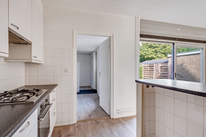 Foto 8 van Bonte Kraai 17