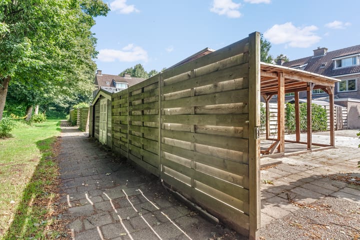 Foto 20 van Bonte Kraai 17