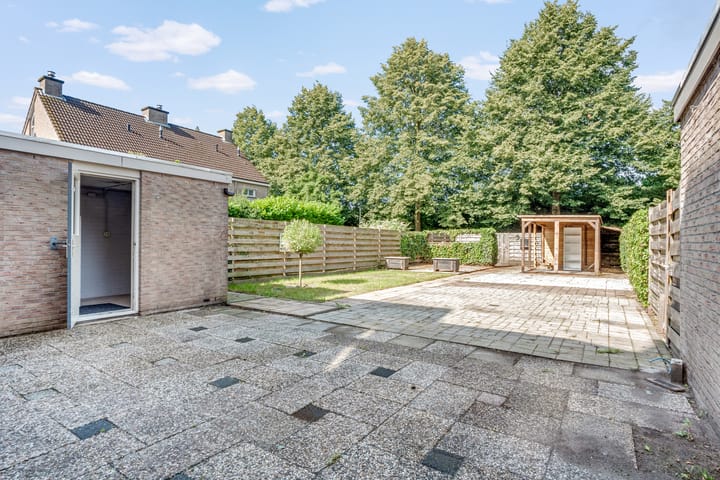 Foto 18 van Bonte Kraai 17