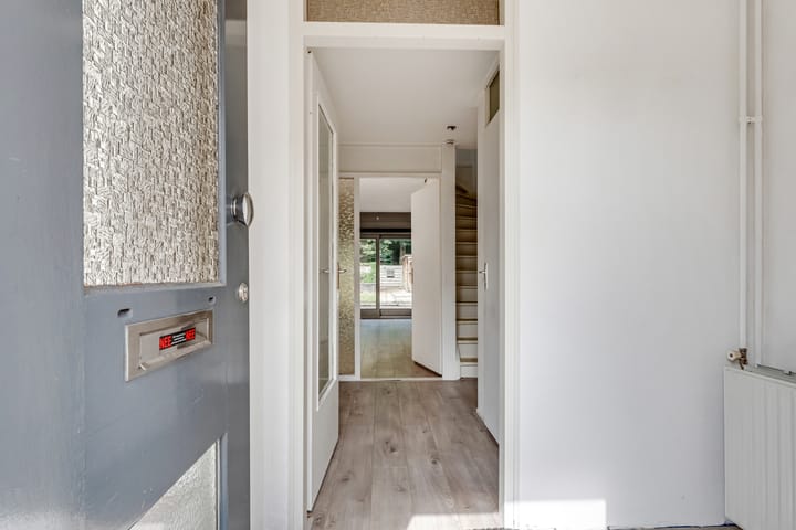 Foto 3 van Bonte Kraai 17