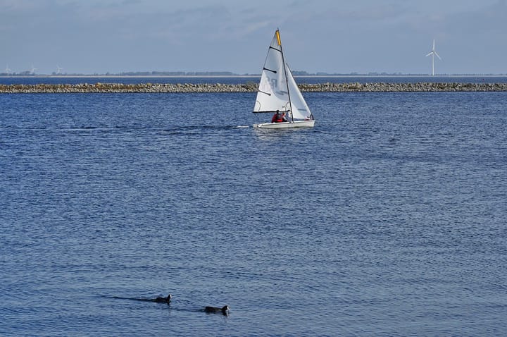 Photo 31 of Hoogerwerfsweg "De Tong" 32