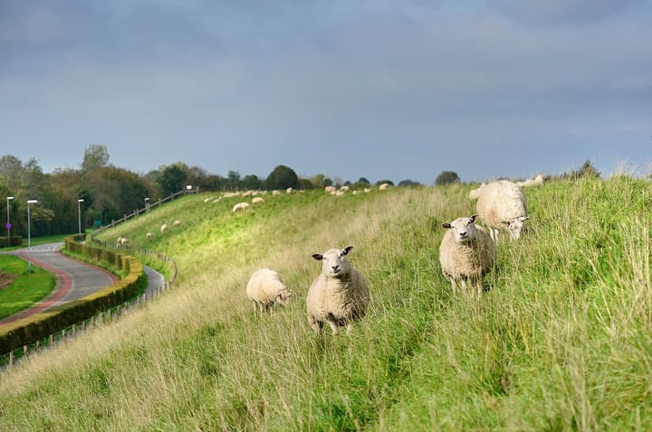 Photo 32 of Hoogerwerfsweg "De Tong" 32