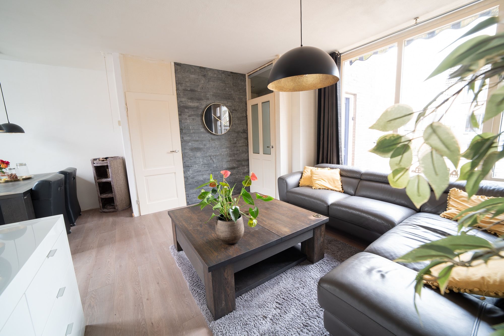 Foto 3 van Sleedoorn 2