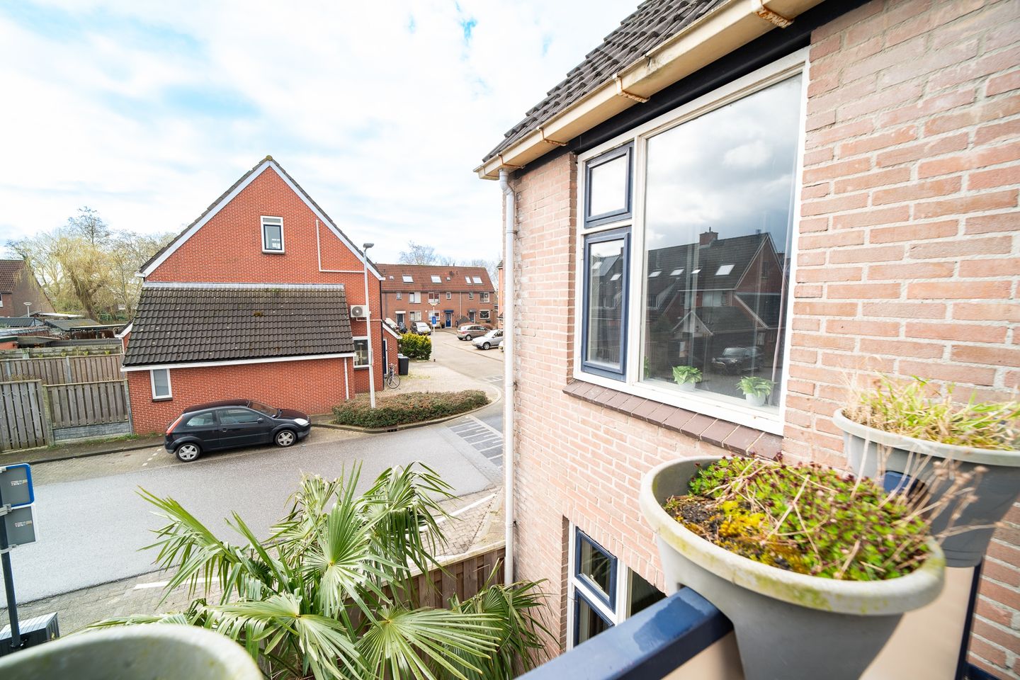 Foto 20 van Sleedoorn 2