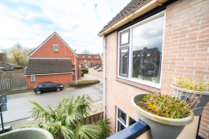 Foto 20 van Sleedoorn 2