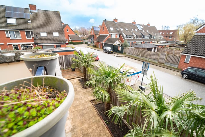 Foto 21 van Sleedoorn 2