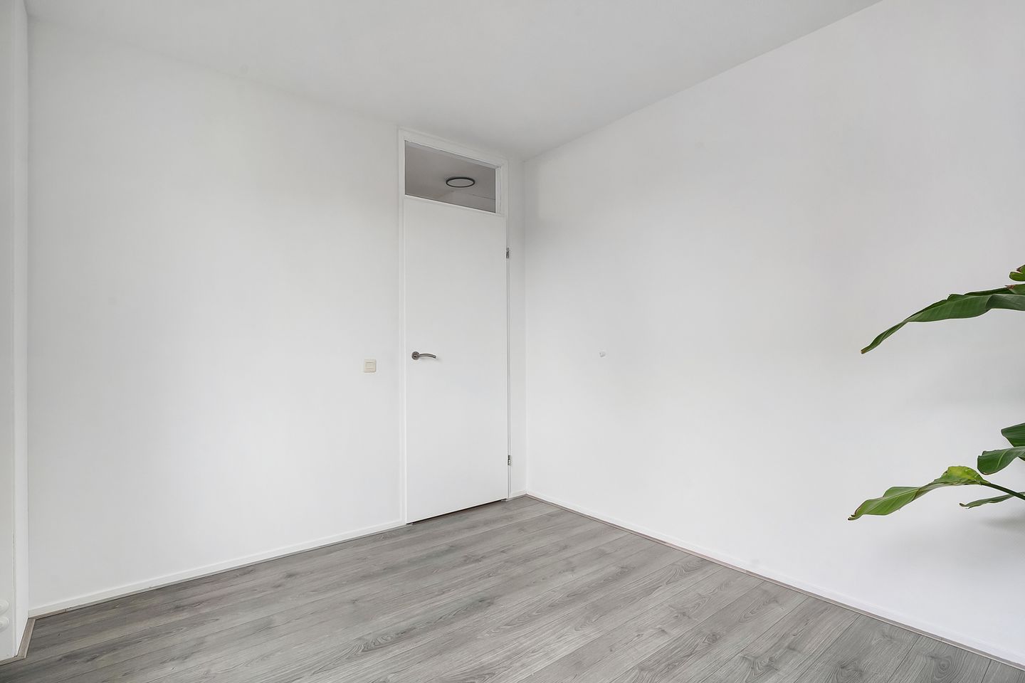 Foto 19 van Mackayware 102