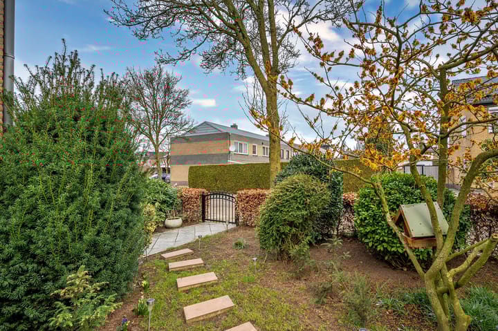 Foto 36 van Alexanderstraat 1