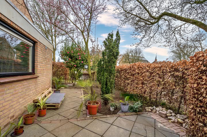 Foto 37 van Alexanderstraat 1