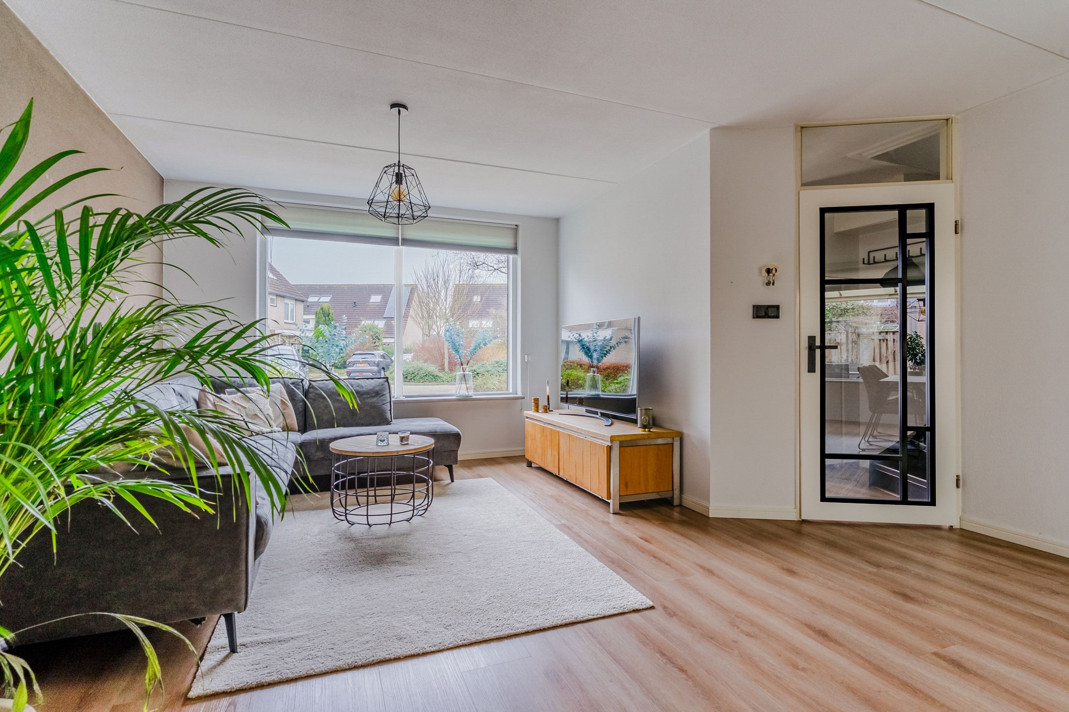 Foto 12 van Haagbeuk 6