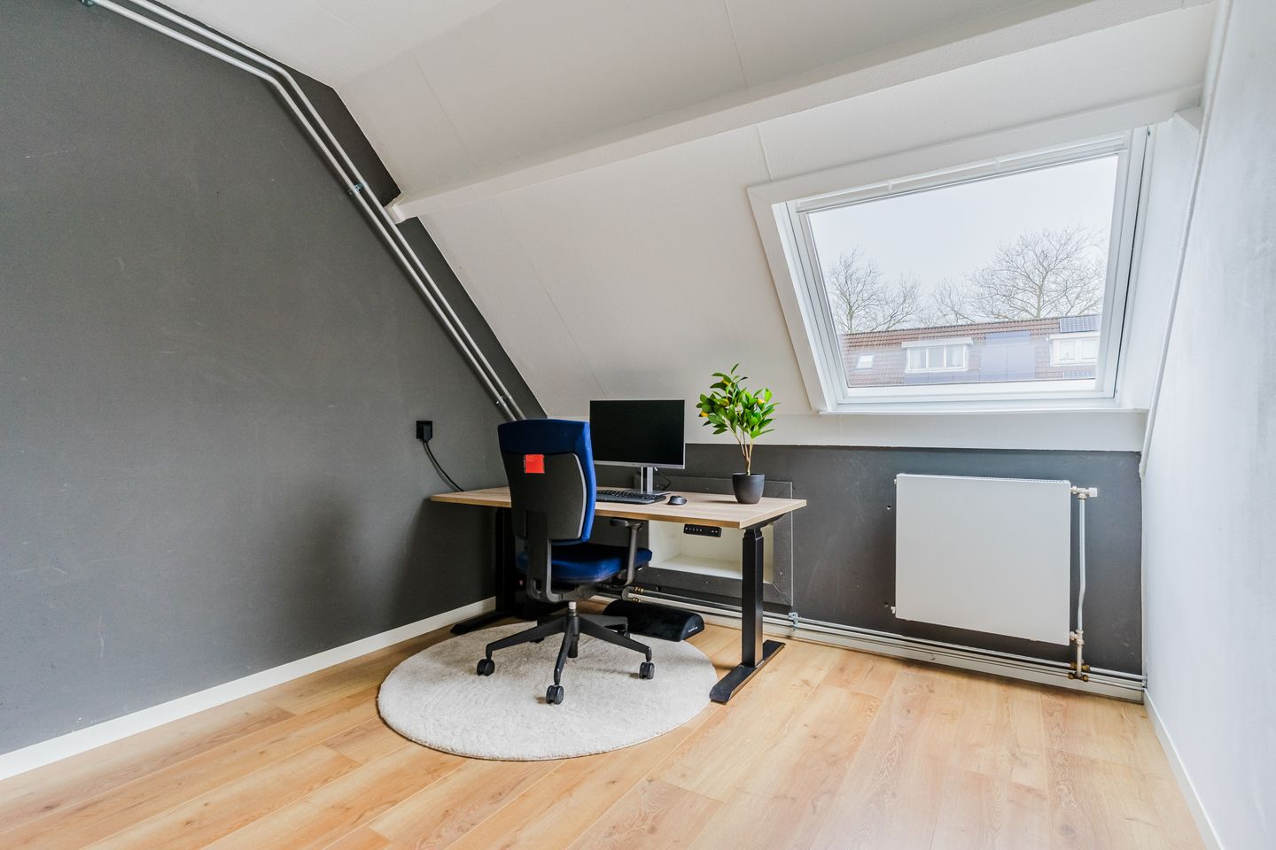 Foto 29 van Haagbeuk 6