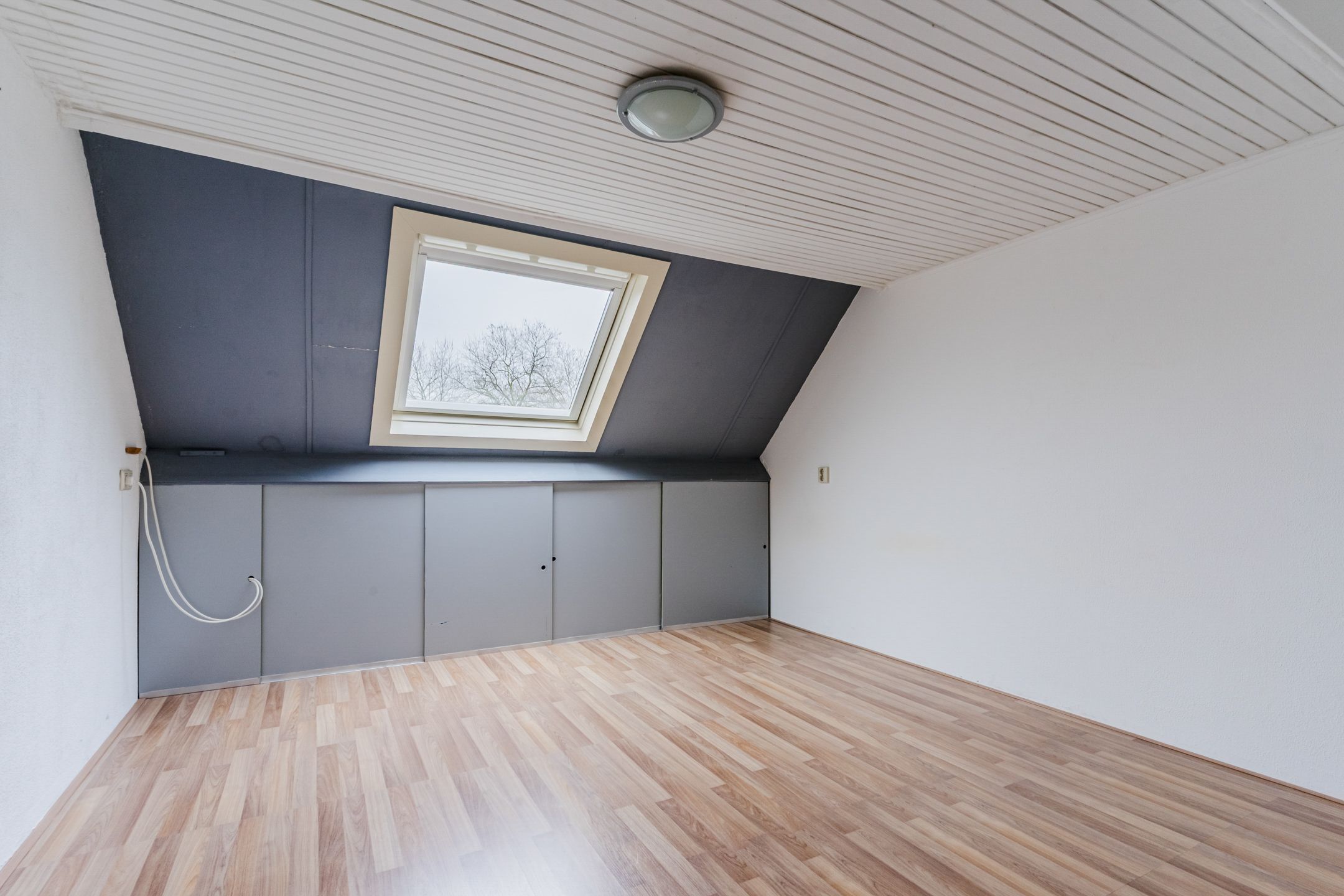 Foto 36 van Haagbeuk 6