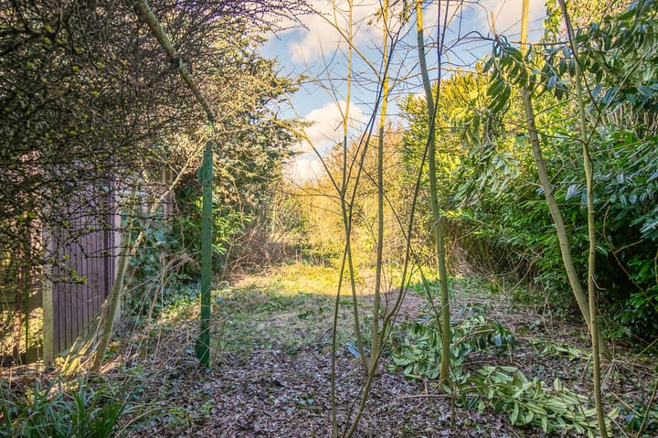 Foto 19 van Hovenstraat 31