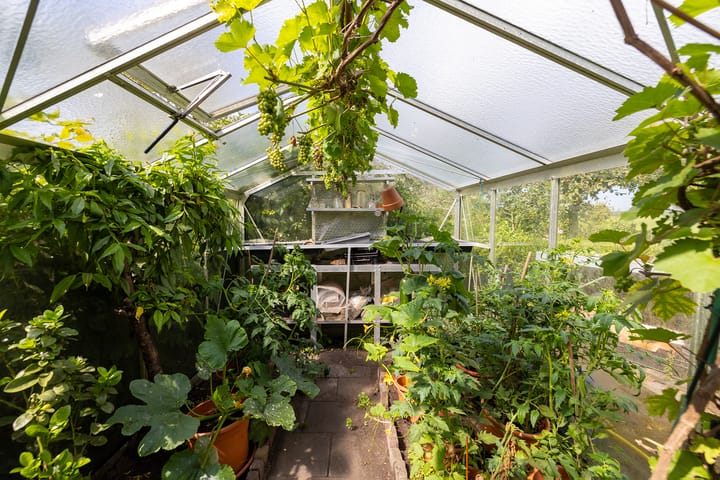 Photo 47 of Werverdijk 18