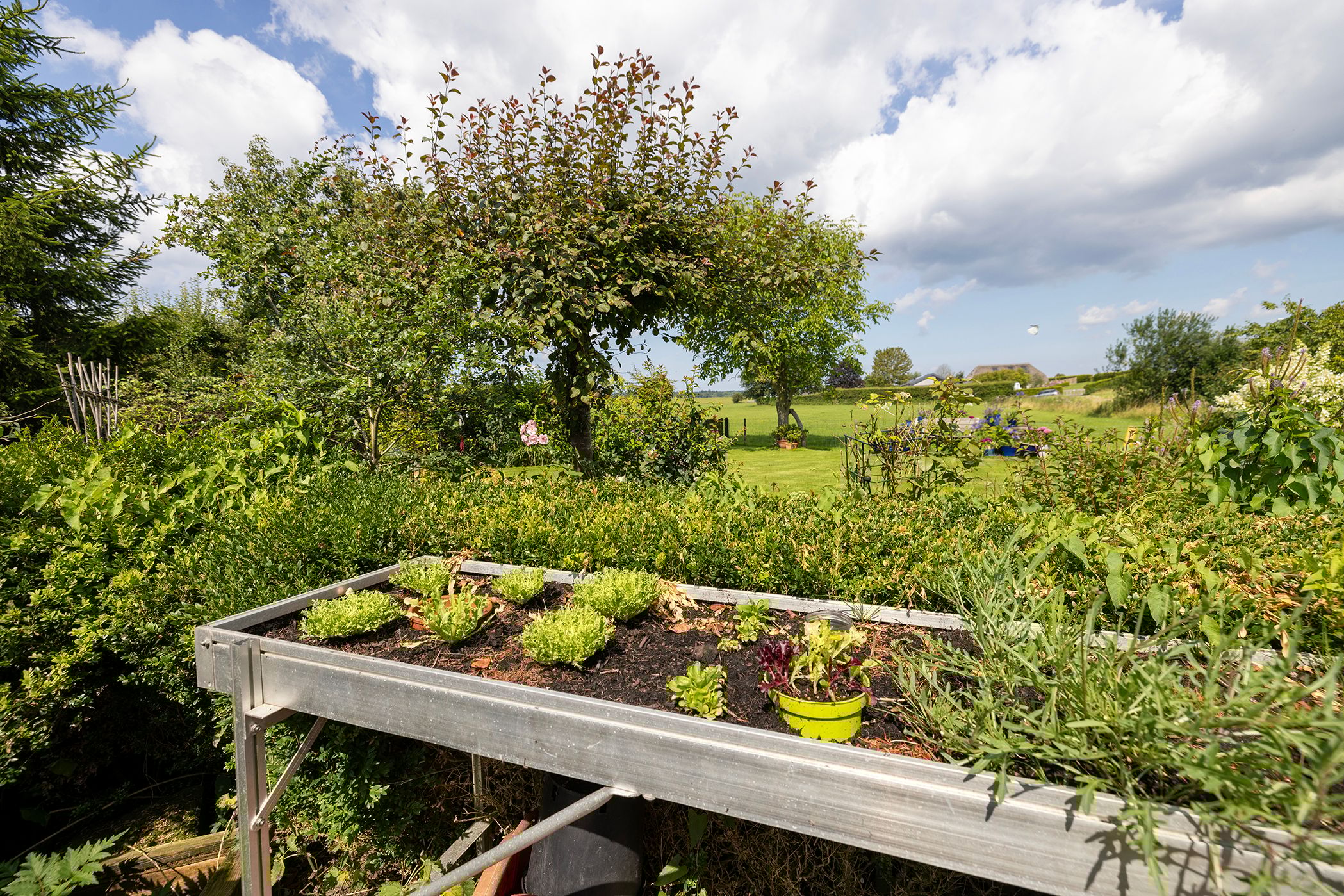 Photo 48 of Werverdijk 18