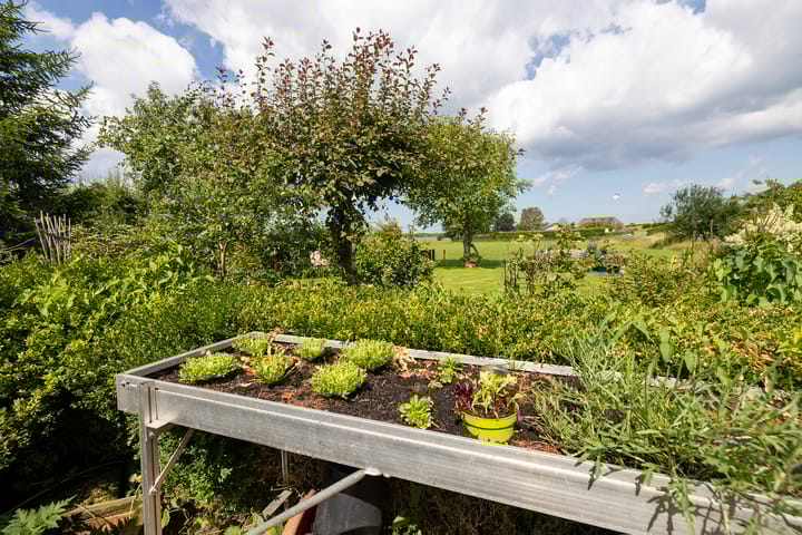 Photo 48 of Werverdijk 18