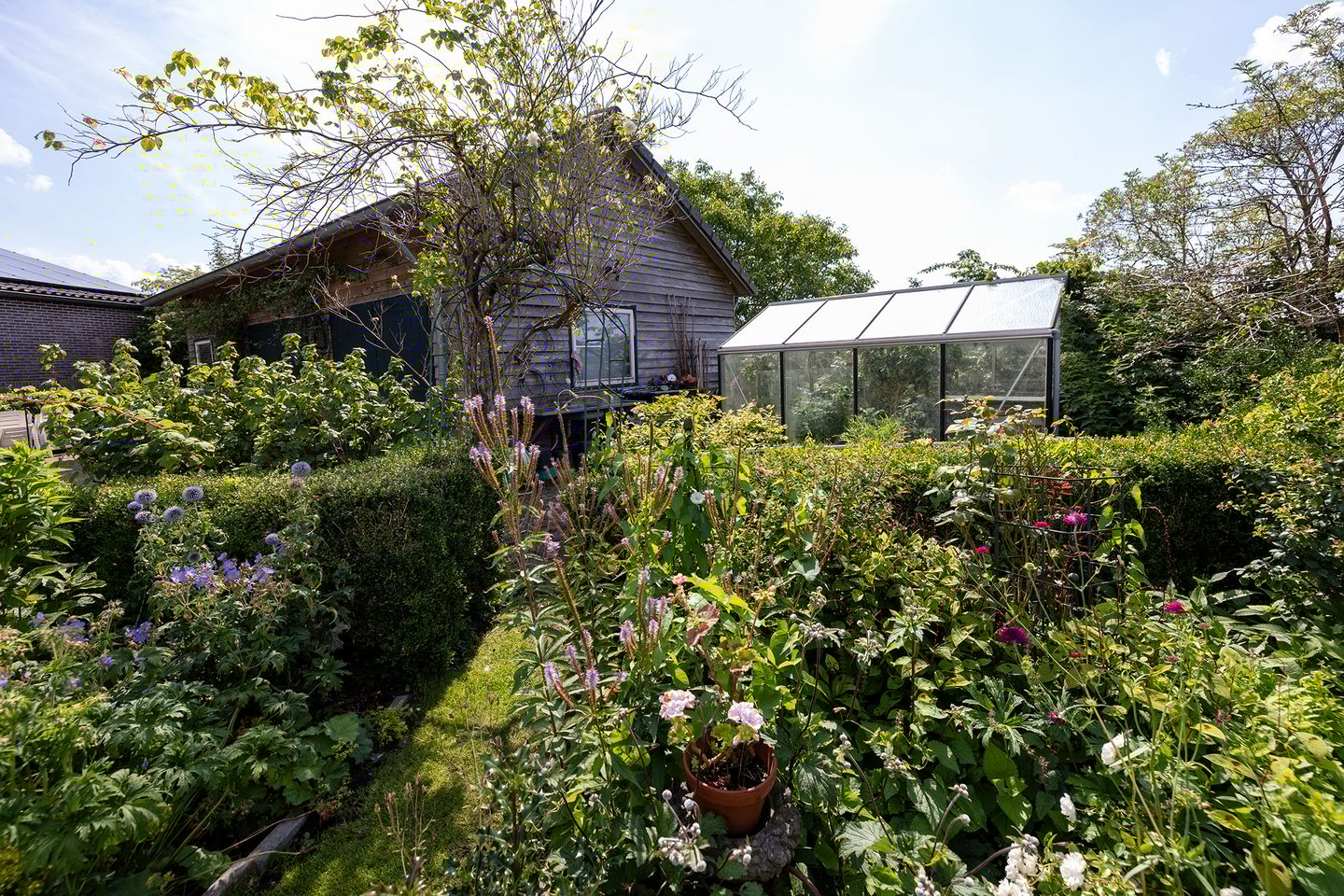 Photo 49 of Werverdijk 18