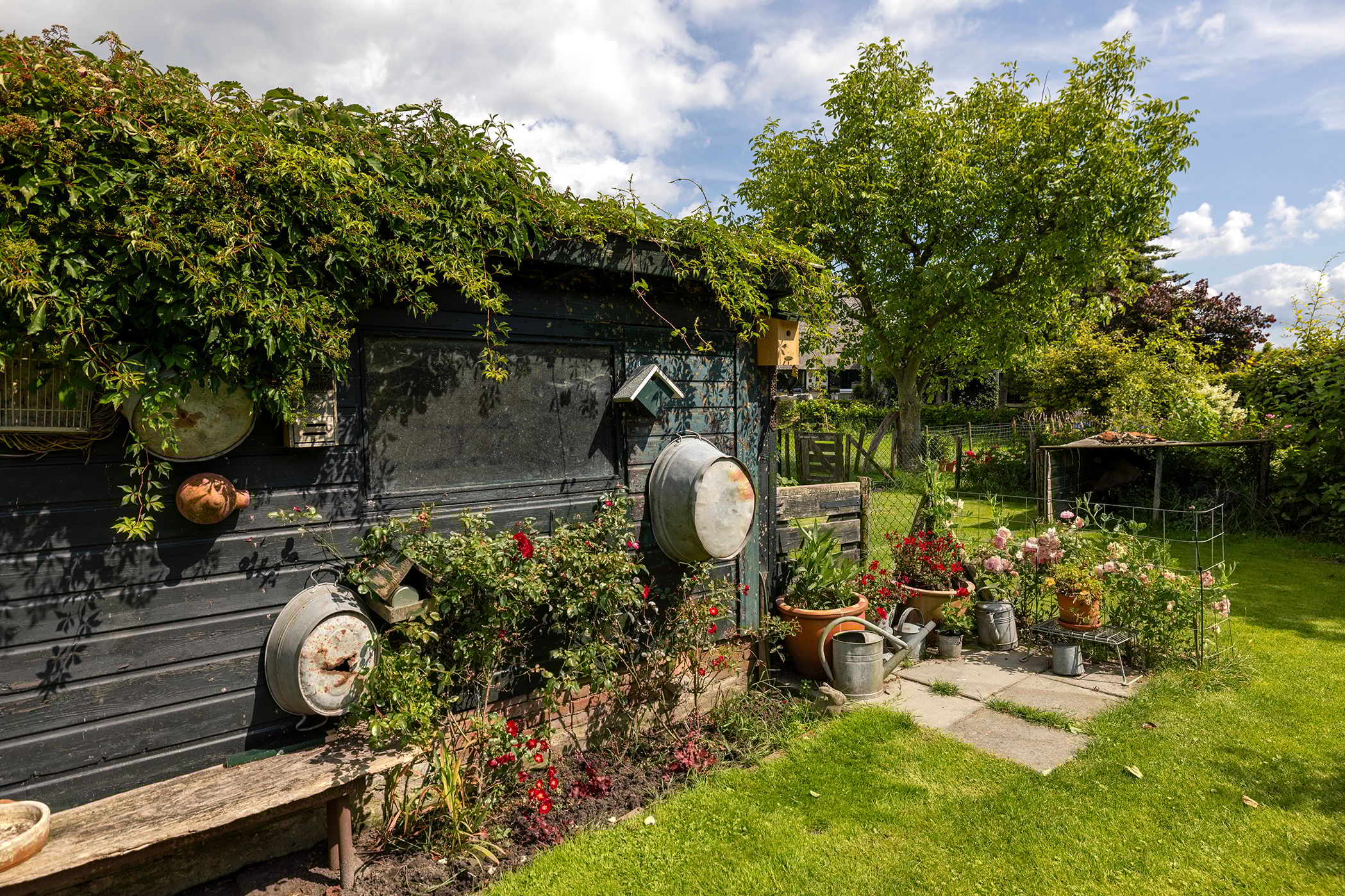 Photo 54 of Werverdijk 18
