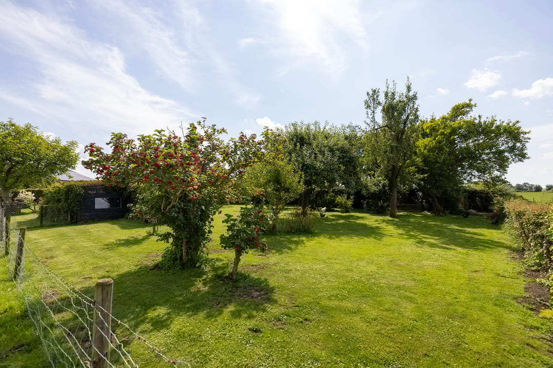 Photo 56 of Werverdijk 18