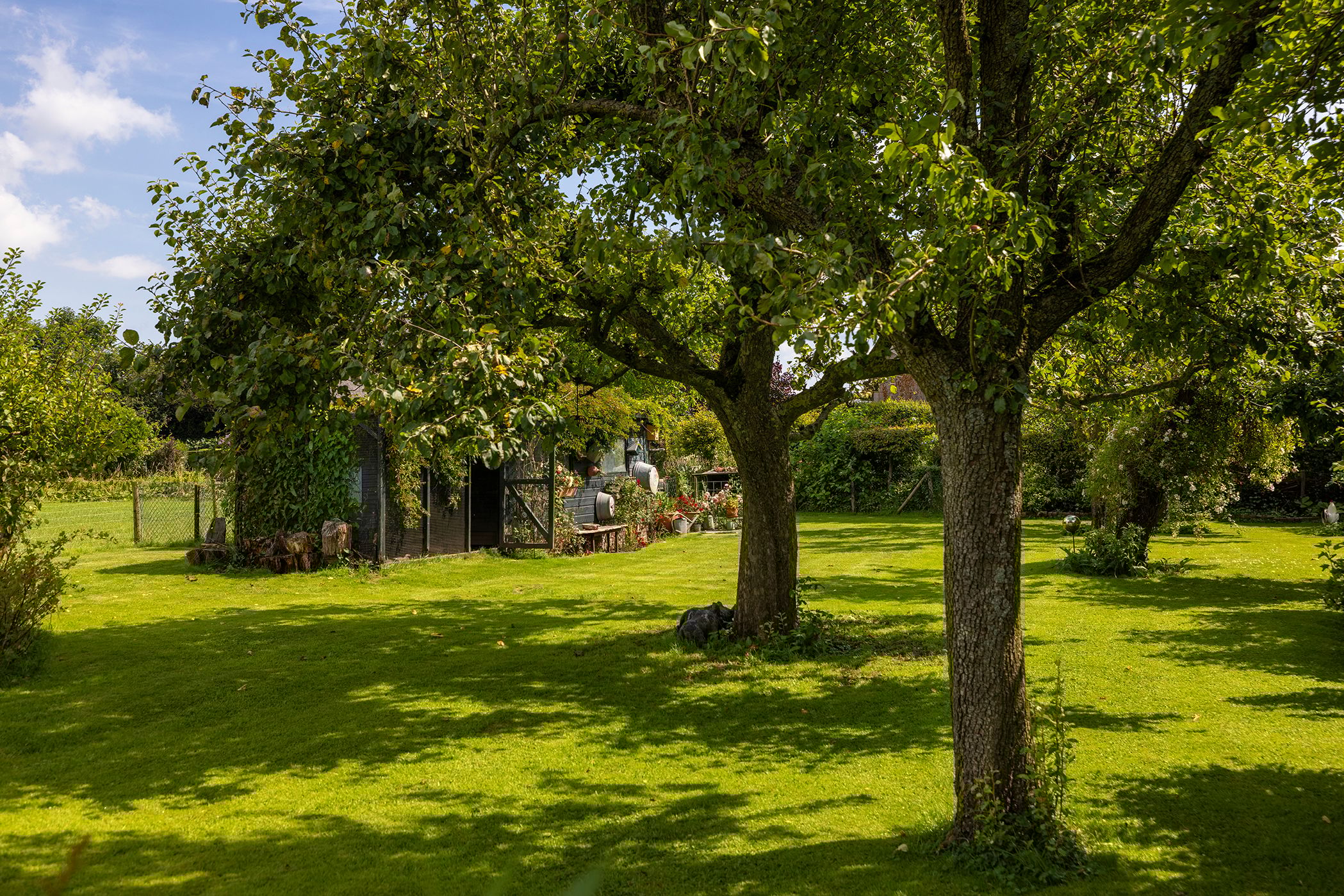 Photo 57 of Werverdijk 18