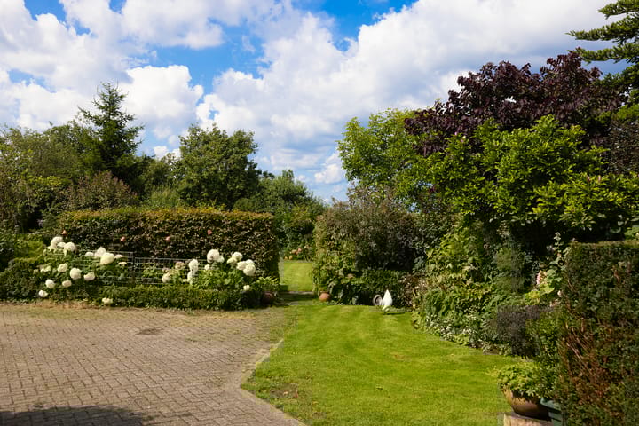 Photo 58 of Werverdijk 18