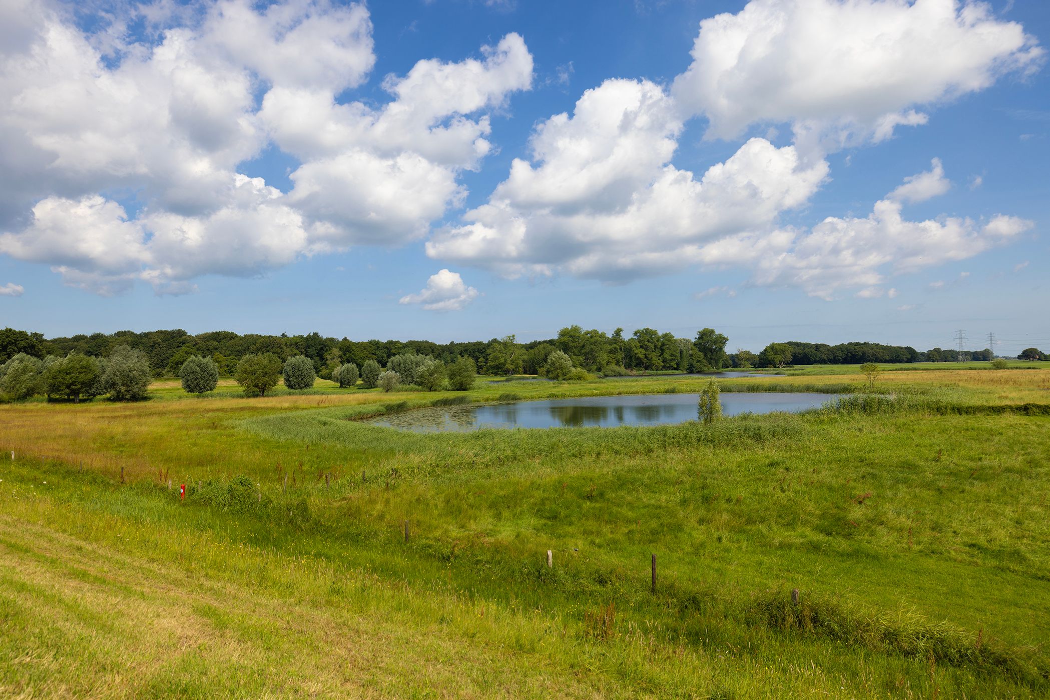 Photo 81 of Werverdijk 18
