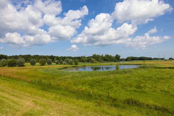 Photo 81 of Werverdijk 18