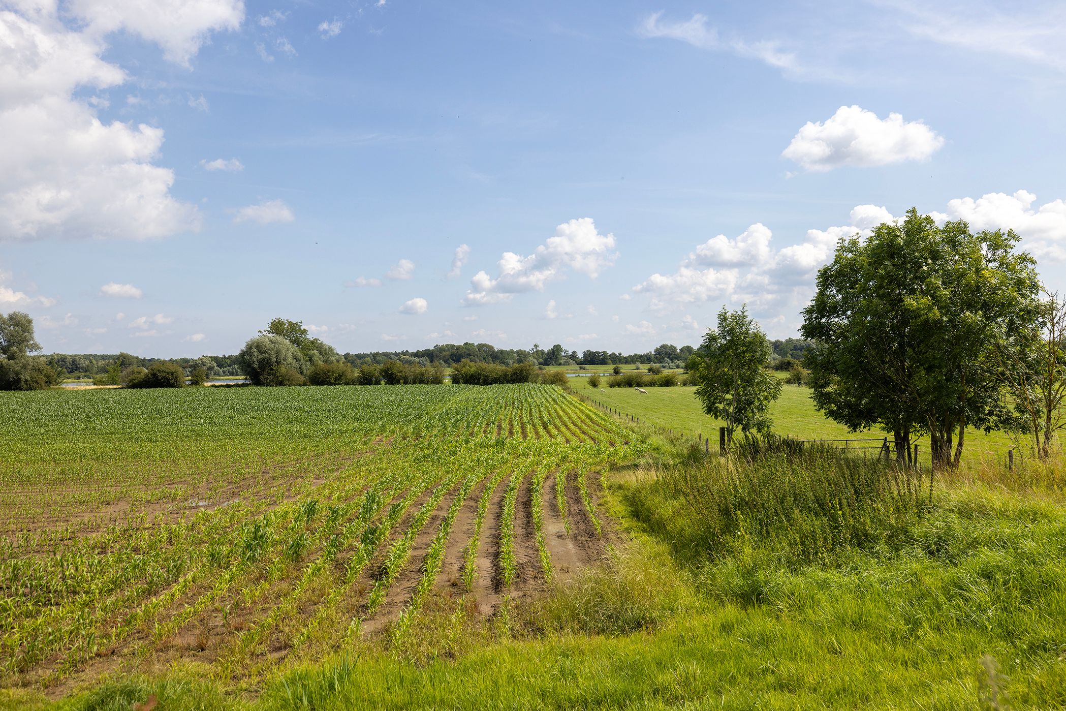 Photo 84 of Werverdijk 18