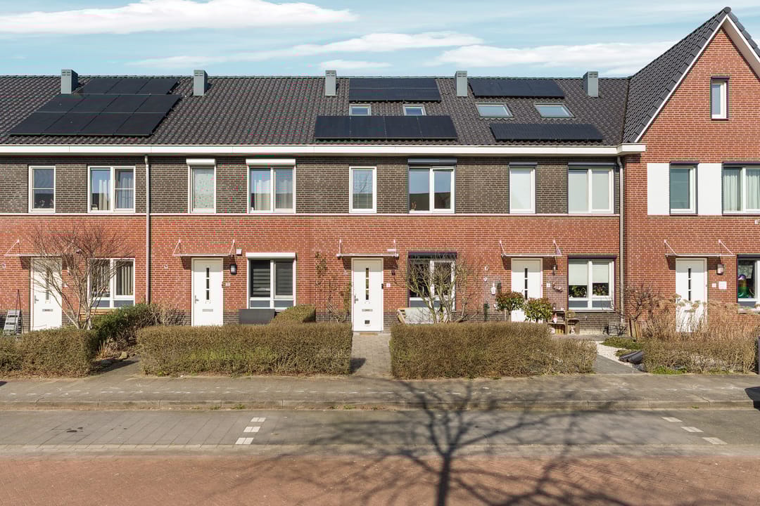 Photo 1 of Berenklauw 6