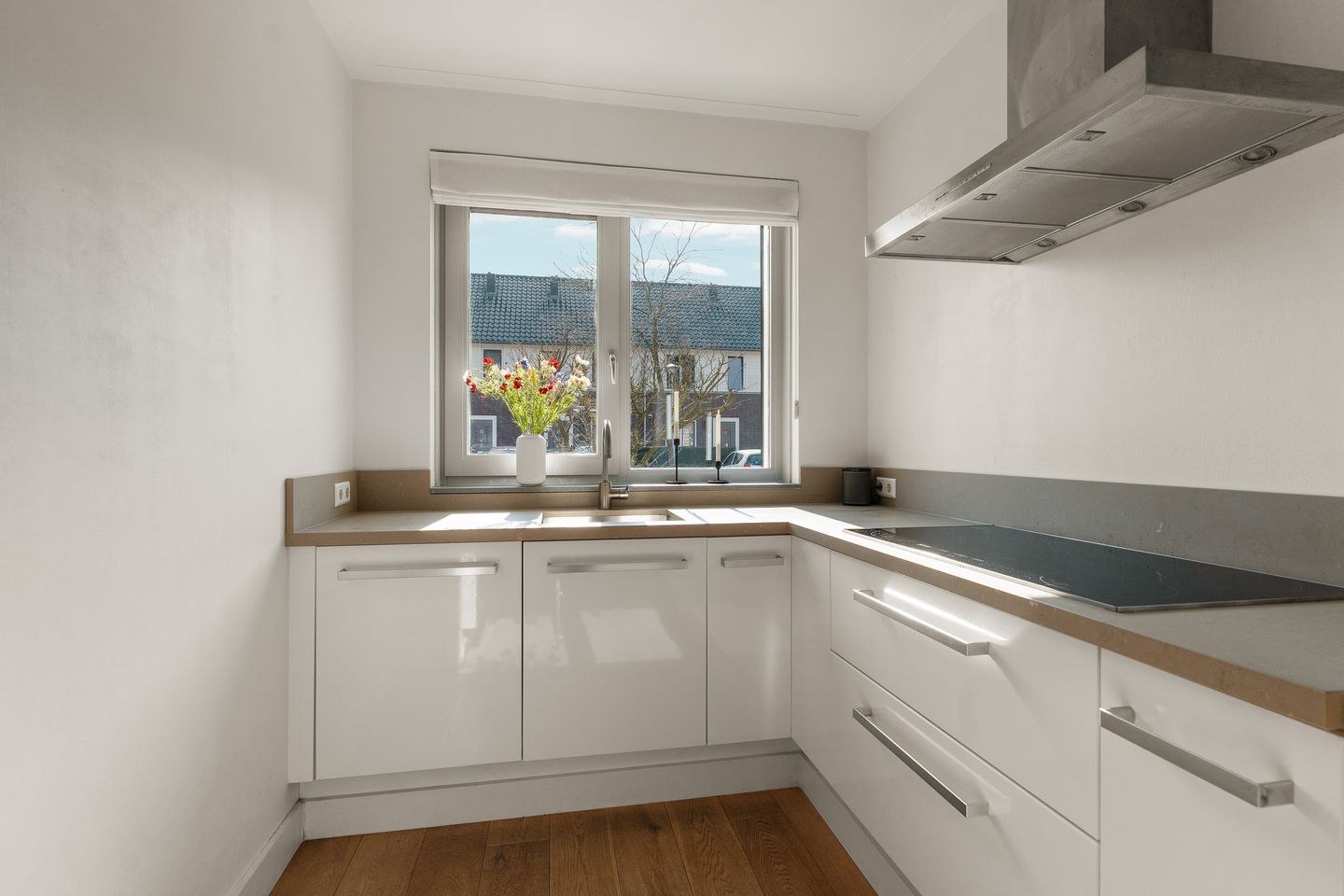 Photo 14 of Berenklauw 6