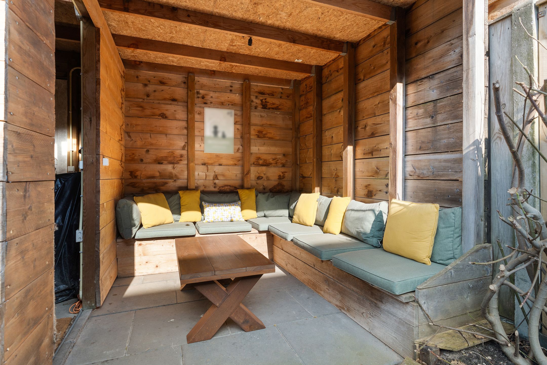 Photo 36 of Berenklauw 6