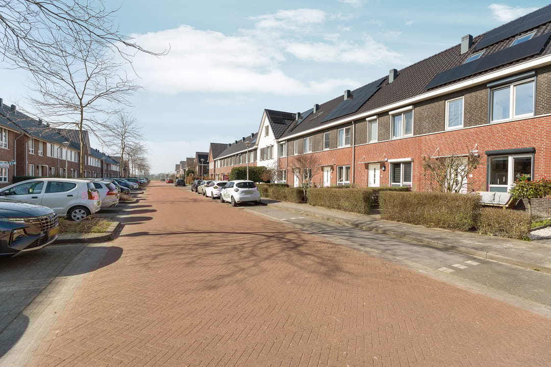 Photo 38 of Berenklauw 6