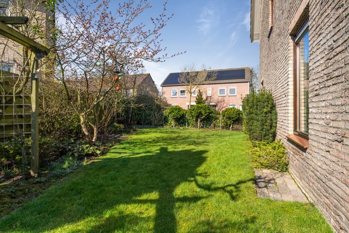 Foto 37 van Roerdomp 88