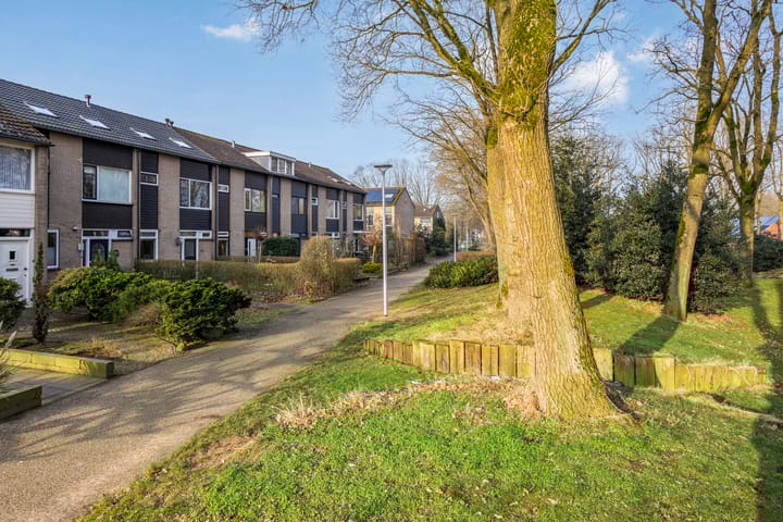 Foto 20 van Hunenborglaan 188