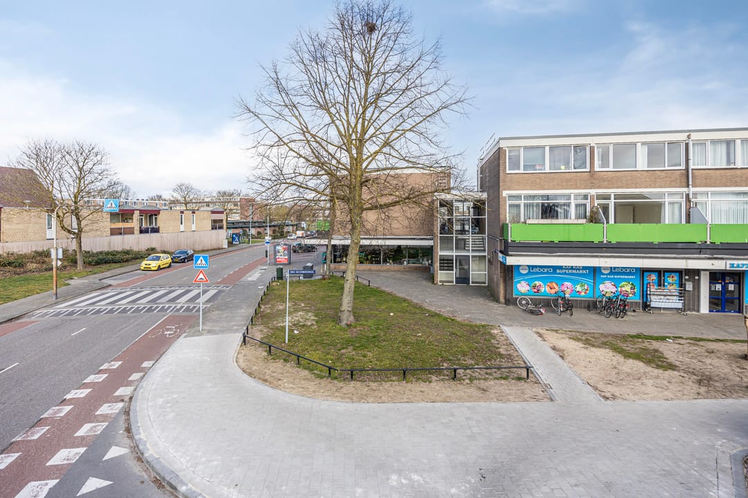 Photo 22 of Drie Decembersingel 30