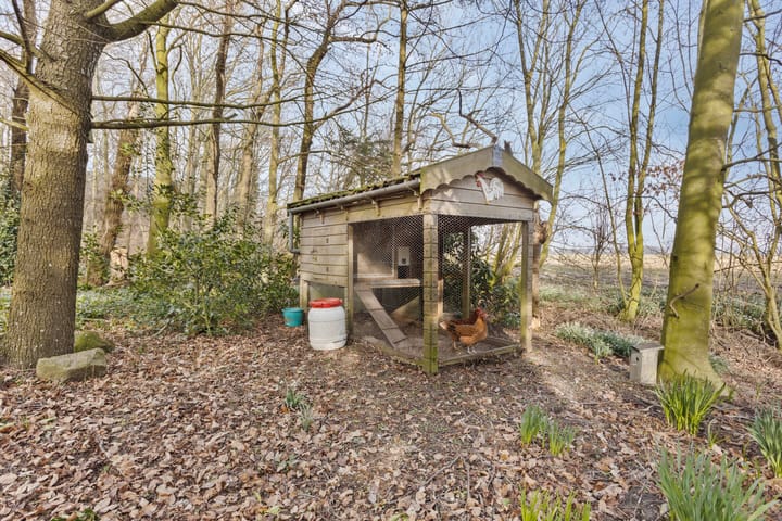 Photo 43 of Barsingerweg 7